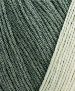 DMC Brio Color 403 - Lana Multicolor 100 g