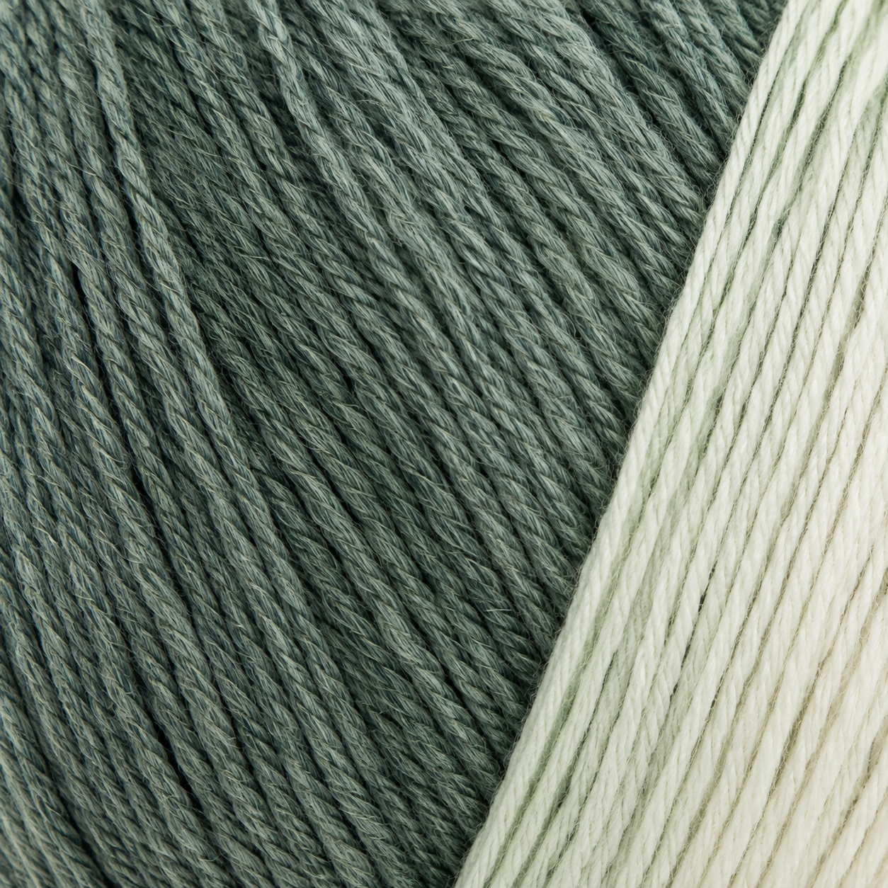 DMC Brio Color 403 - Lana Multicolor 100 g
