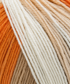 DMC Brio Color 406 - Lana Multicolor 100 g