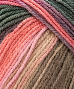DMC Brio Color 404 - Lana Multicolor 100 g