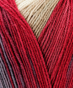 DMC Brio Color 423 – Lana Multicolor 100 g