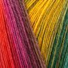DMC Brio Color 415 - Lana Multicolor 100 g
